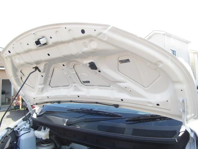 Миниатюра 47