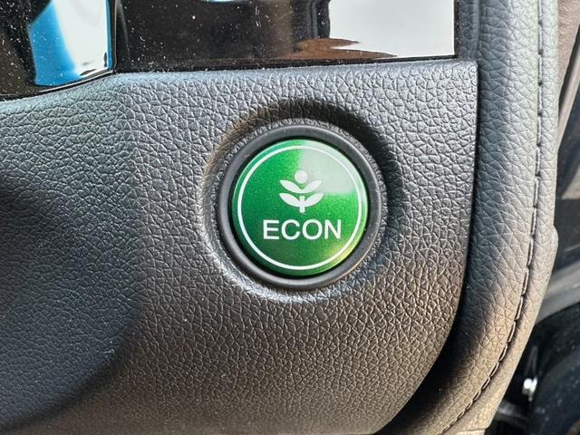 Миниатюра 65