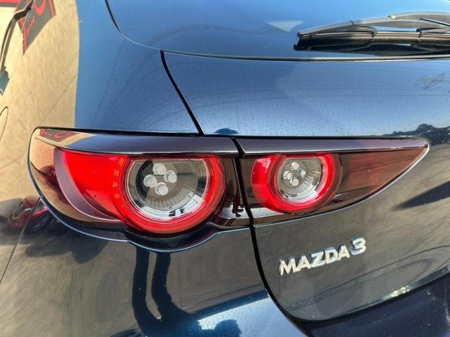Миниатюра 31