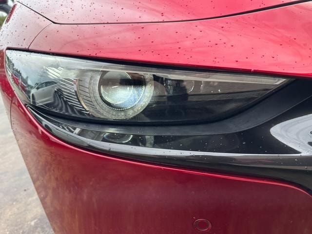Миниатюра 17