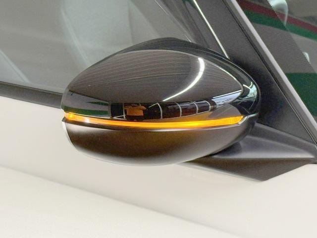 Миниатюра 31