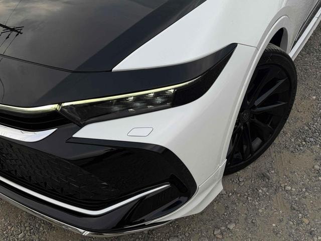 Миниатюра 30