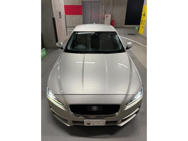 Миниатюра 36