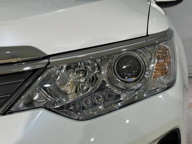 Миниатюра 43