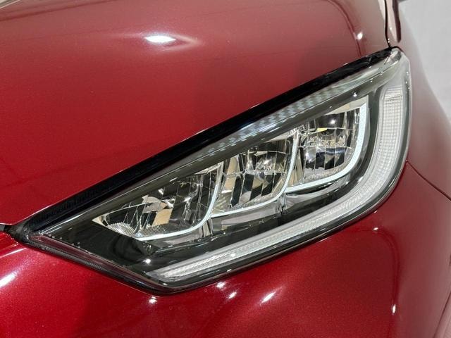 Миниатюра 42