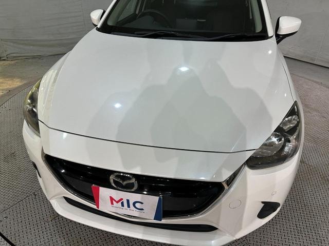 Миниатюра 27
