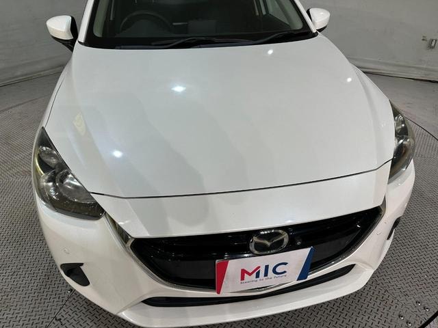 Миниатюра 39