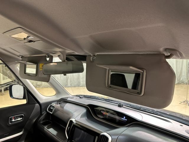 Миниатюра 33