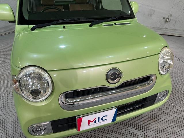 Миниатюра 25