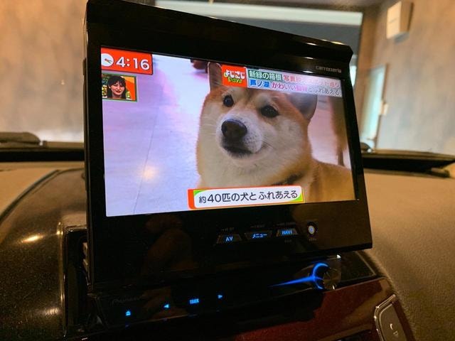 Миниатюра 40