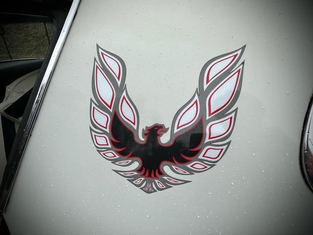 Миниатюра 45
