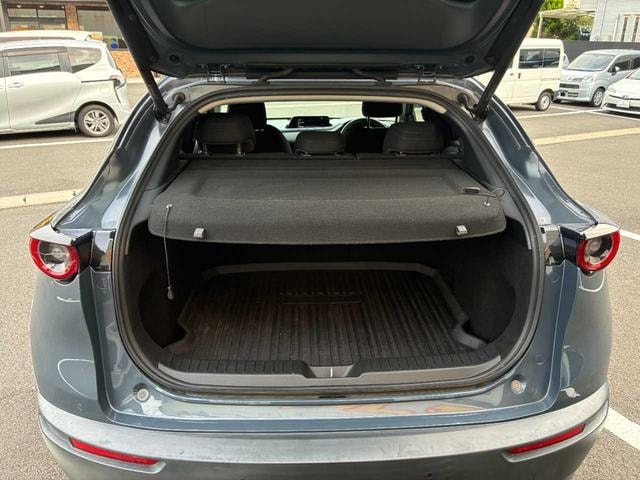 Миниатюра 30