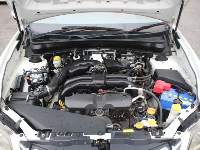 Миниатюра 31