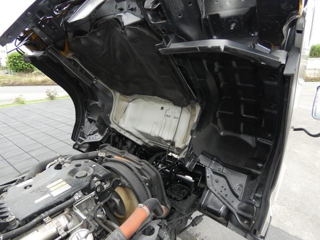 Миниатюра 55