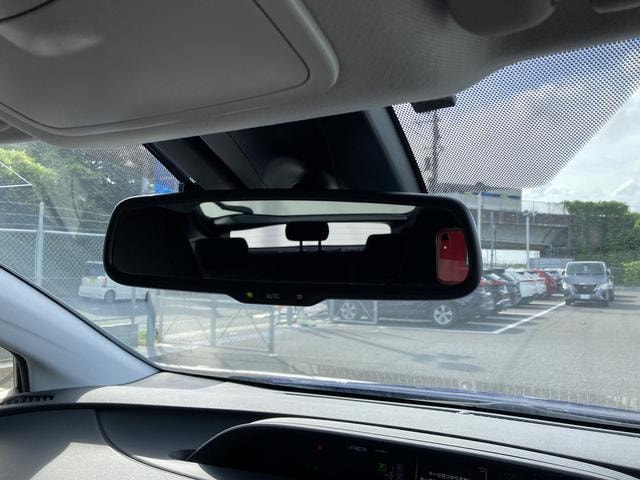 Миниатюра 66