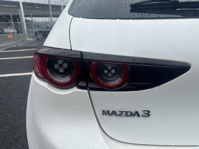 Миниатюра 19