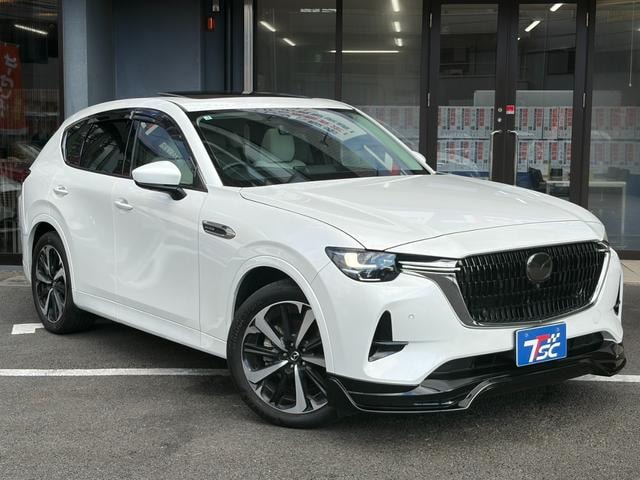 Миниатюра 17