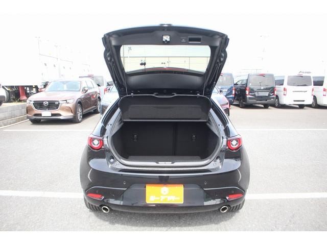 Миниатюра 67
