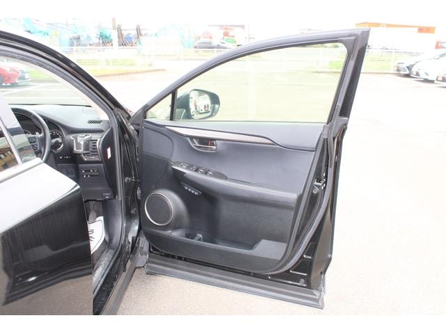Миниатюра 31