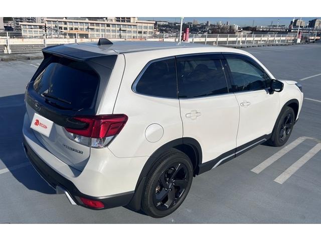 Миниатюра 17