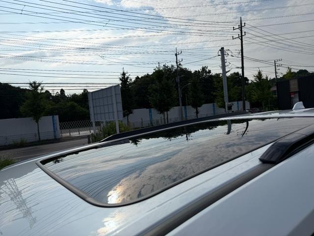 Миниатюра 31