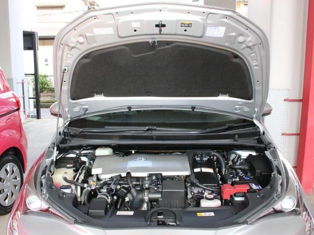 Миниатюра 35
