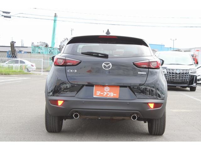 Миниатюра 13