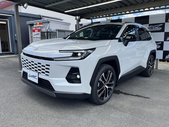Миниатюра 24