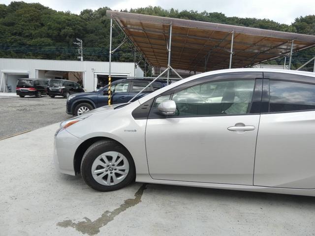 Миниатюра 31