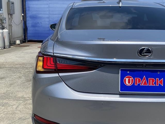 Миниатюра 66