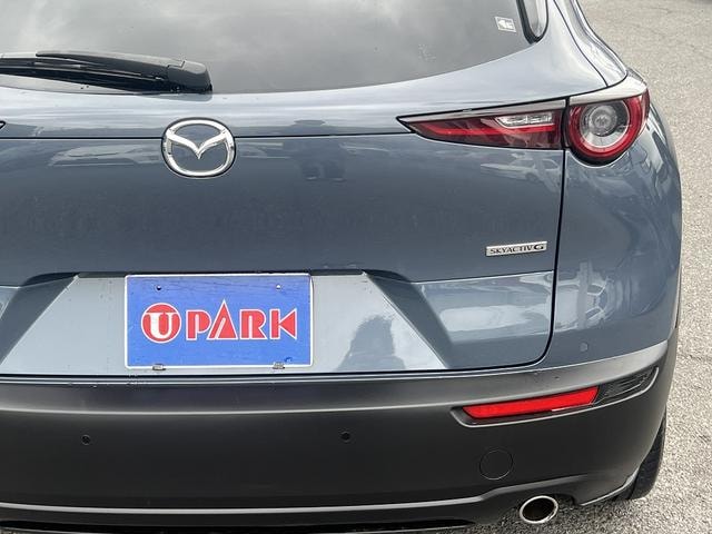 Миниатюра 51