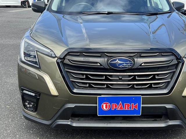 Миниатюра 55