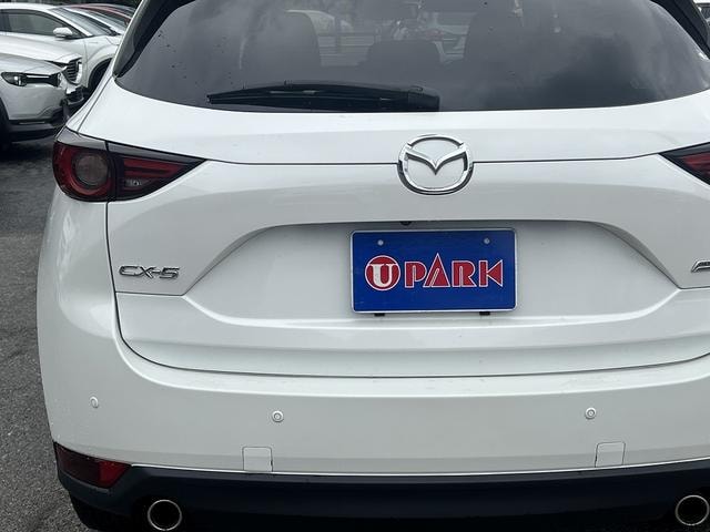 Миниатюра 46