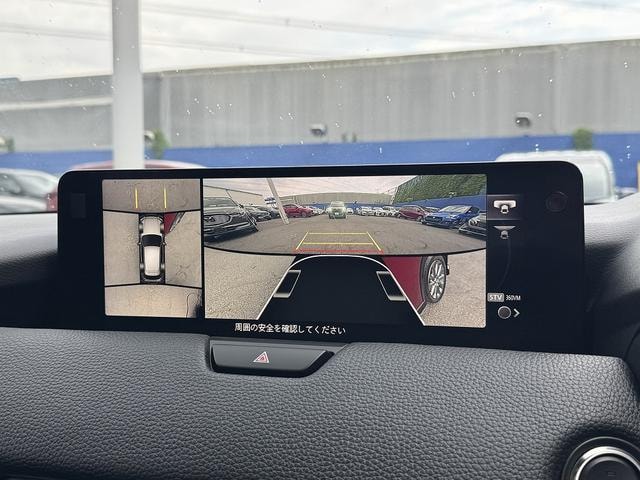 Миниатюра 27
