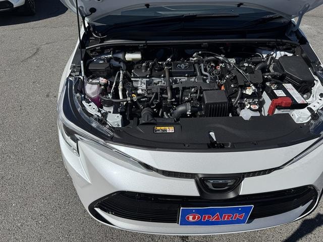 Миниатюра 59