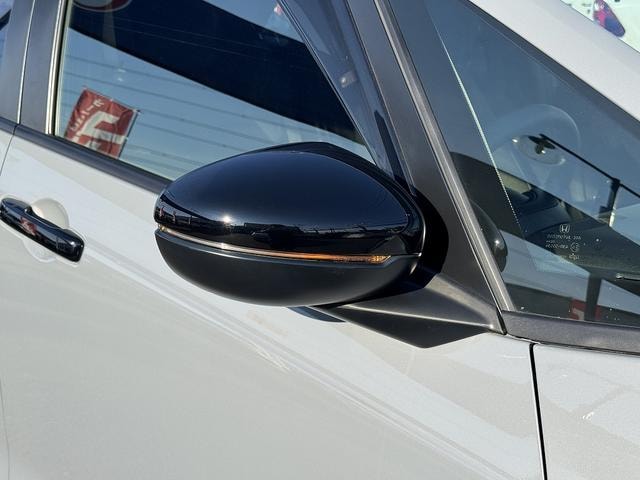 Миниатюра 48