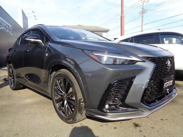Lexus NX 2024 — фото автомобиля 1