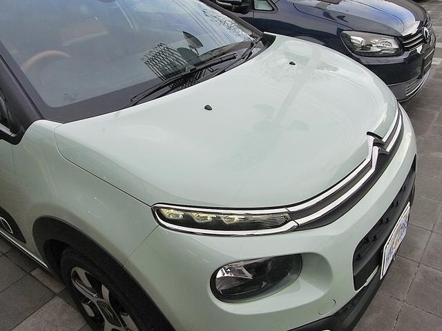Миниатюра 49