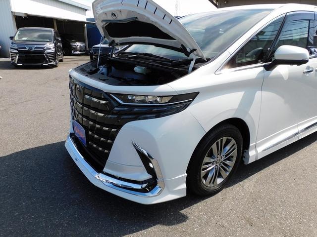 Миниатюра 42