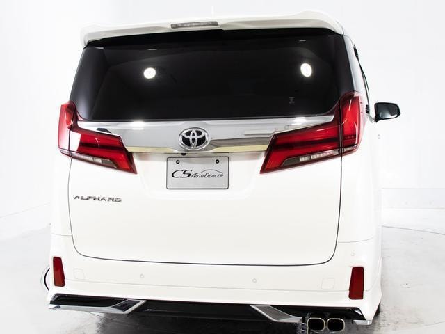 Миниатюра 18