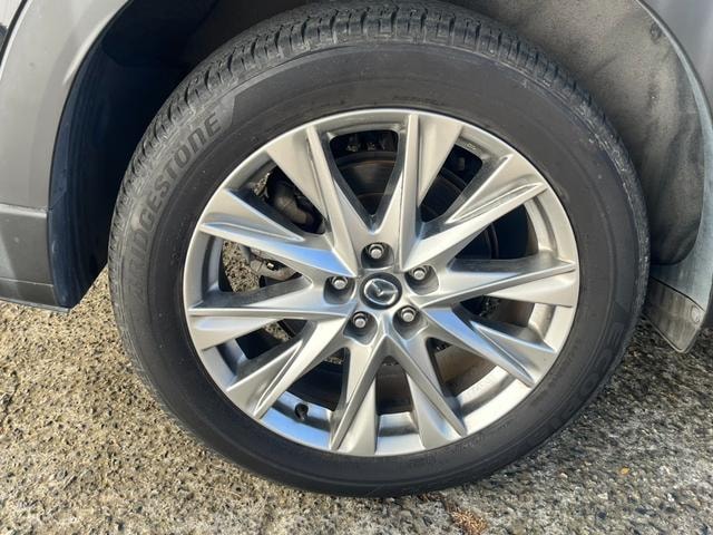 Миниатюра 17