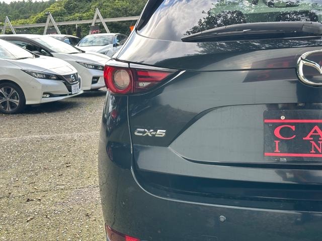 Миниатюра 12