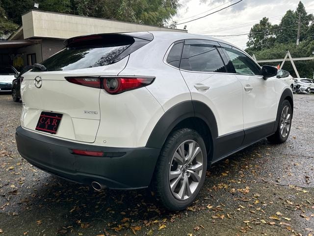 Миниатюра 41