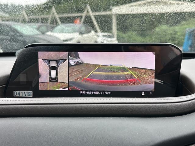Миниатюра 21