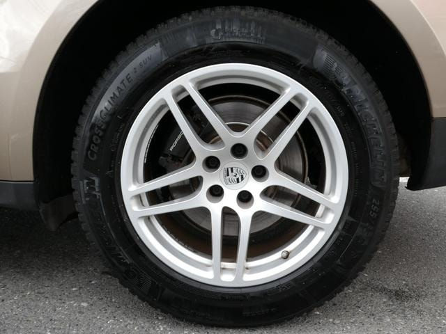 Миниатюра 49