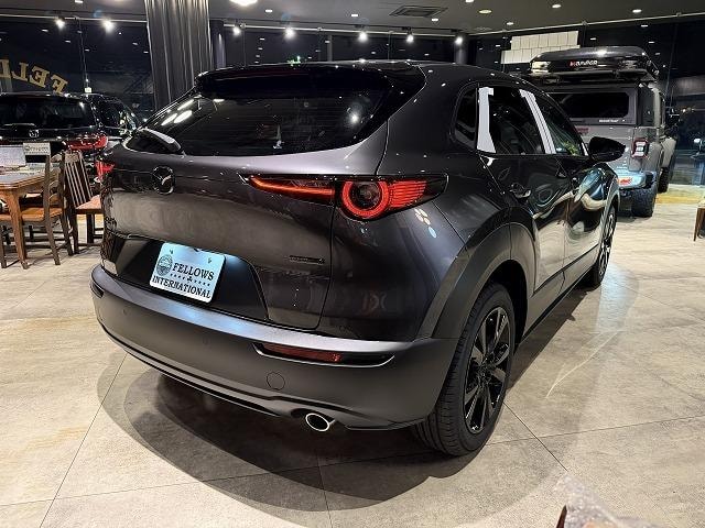 Миниатюра 10