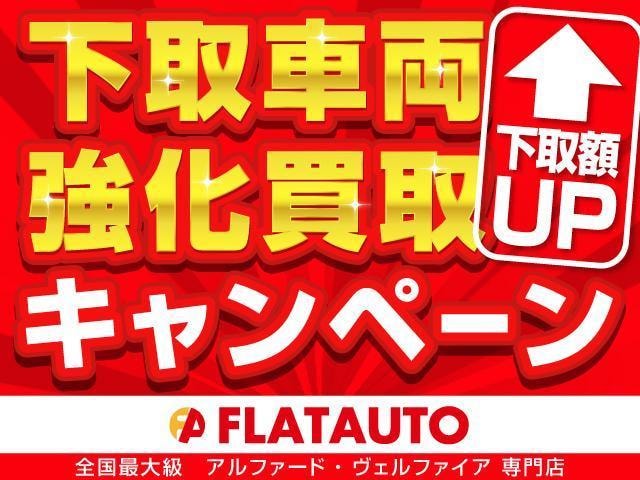 Миниатюра 44