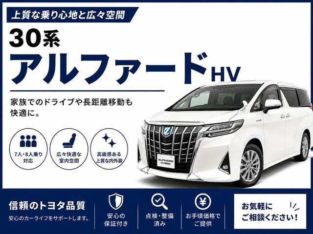 Миниатюра 73