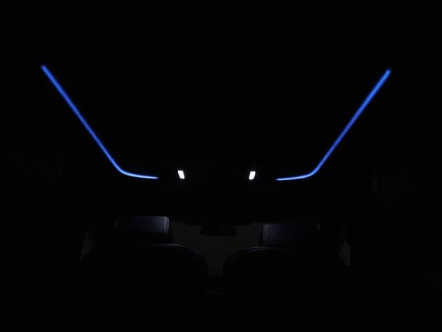 Миниатюра 17