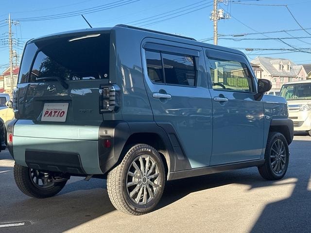 Миниатюра 51